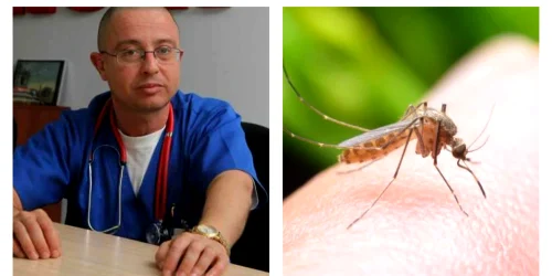 tantari west nile jpg