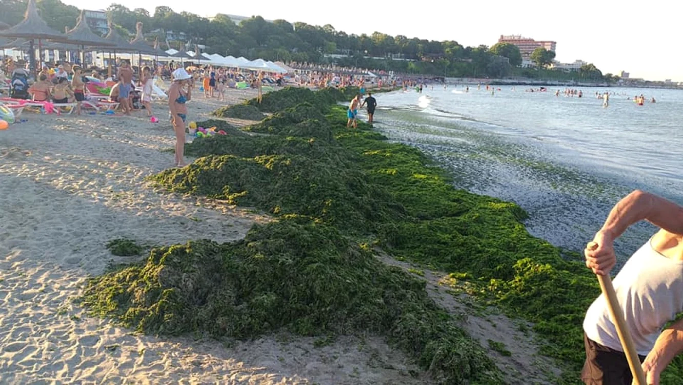 Alege pe litoral foto: Apele Române