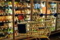 supermarket-shopping-cumparaturi-cos-gol