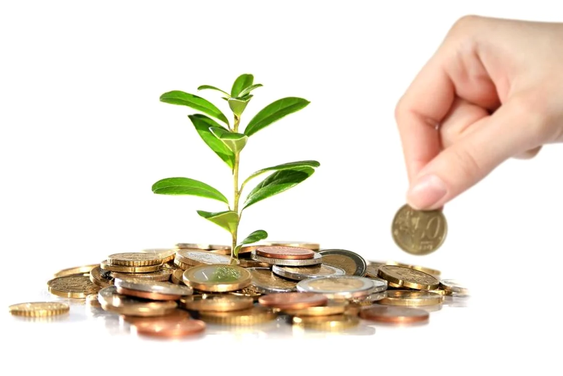 
    Horoscop zilnic 24 septembrie: Racii se dovedesc buni investitori  