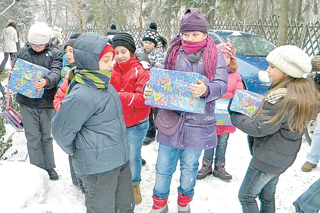 Leoaicele s-au ciondănit  pentru a intra în posesia  pachetelor cu bunătăţi