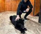 Culiță, fascinat de pantera neagră foto Instagram