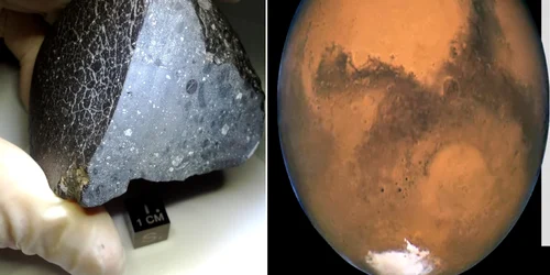 Dovezi ale apei în cea mai veche crustă marțiană cunoscută - meteoritul „Frumusețea Neagră” Colaj space-com 