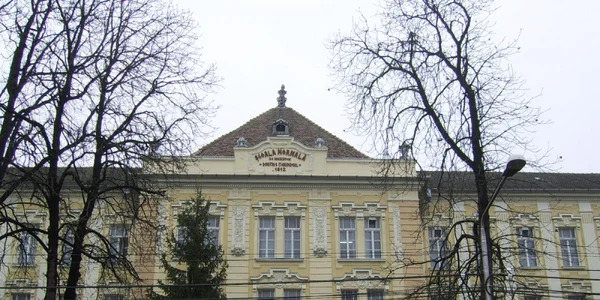 liceu pedagogic
