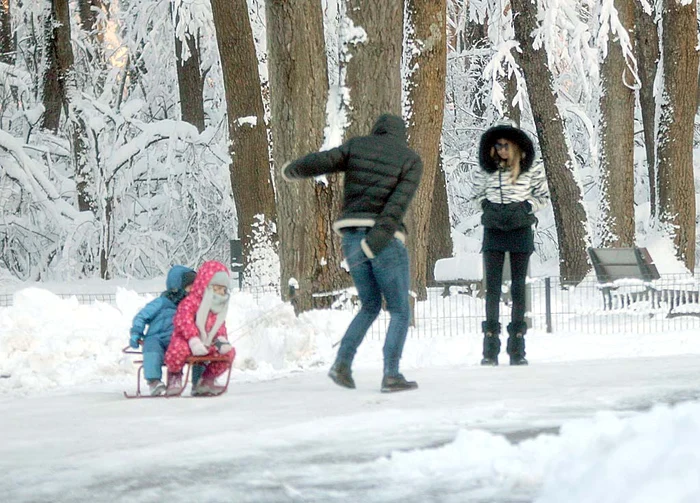 Bogdan i-a plimbat pe gemeni cu sania