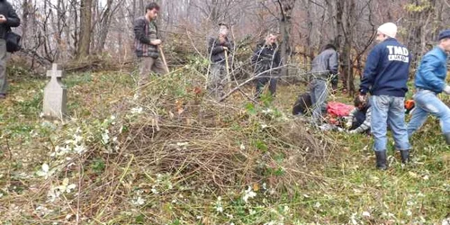 voluntari in cimitirul de la bata FOTO Corina Macavei 