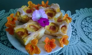 pandispan pufos cu pierisici jpeg