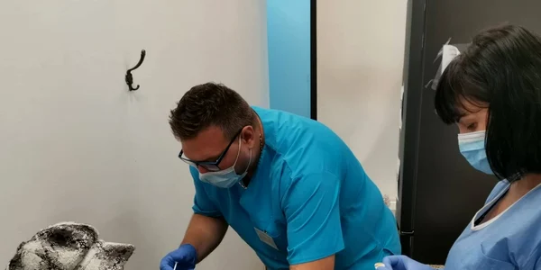 Vaccin la Timişoara