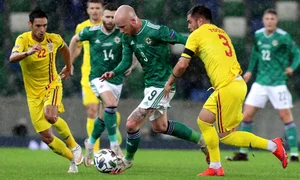 boyle irlanda de nord romania jpeg