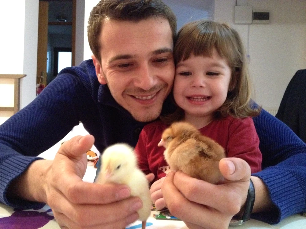 
    Dan, Sophia şi puişorii  