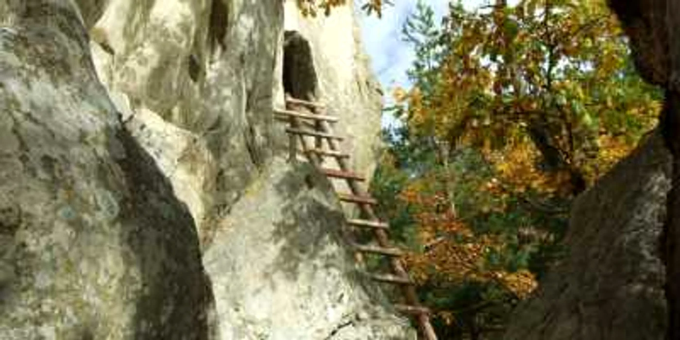 buzau