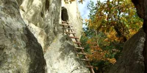 buzau