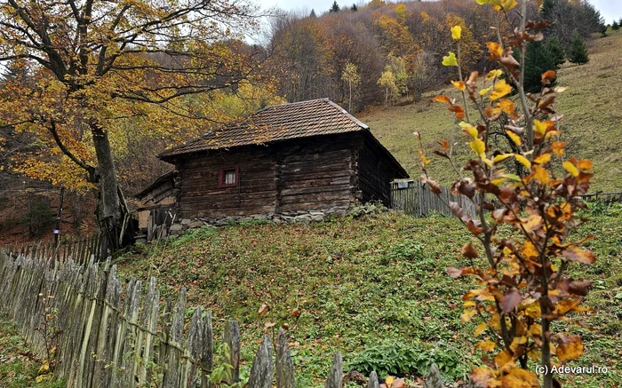 Casă de momârlani din Parâng. Foto: Daniel Guță. ADEVĂRUL