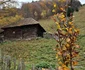 Casa din Tinutul Momarlanilor Parang Foto Daniel Guta (48) JPG