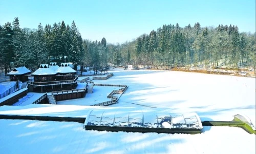 1 46155 original jpg jpeg