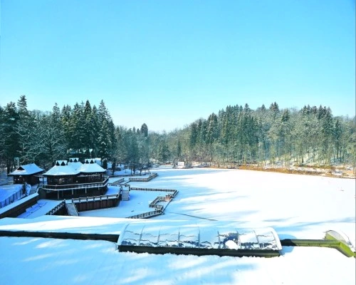 1 46155 original jpg jpeg