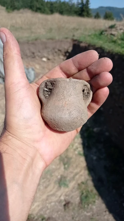 Una dintre vestigiile descoperite în site-ul din Harghita FOTO MNCR