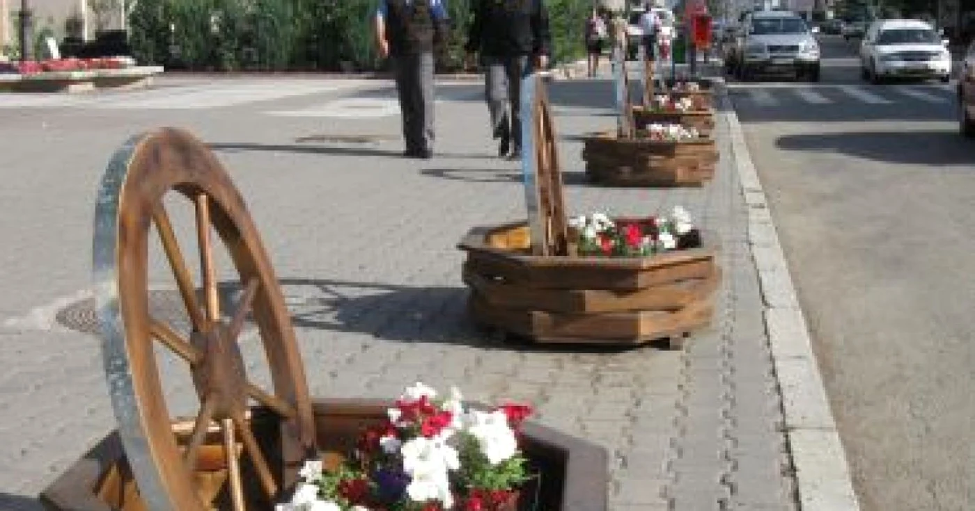 Botoşani:  Zece botoşăneni prinşi la furat flori de la începutul acestei luni