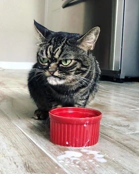 2 bkbhnk0gmkr 2 png 700 jpg jpeg