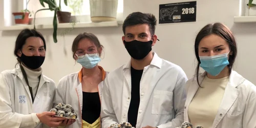 facultatea de inginerie alimentara suceava 