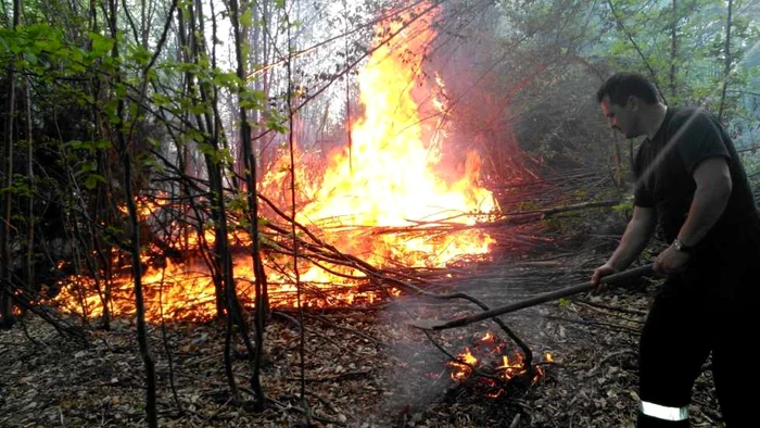 Incendiul s-a extins rapid din cauza secetei şi a căldurii. FOTOISU Braşov.