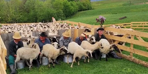 Ruptul sterpelor Maramureș. Captură Facebook