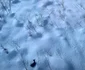 6 sabina iosub vacanta la schi la kitzbuhel austria 5 jpg jpeg