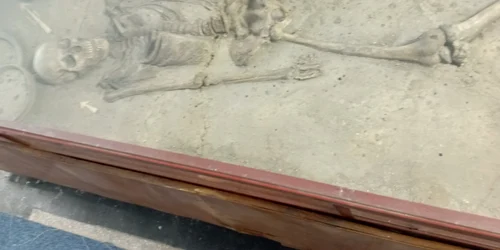 1719638175577 jpg