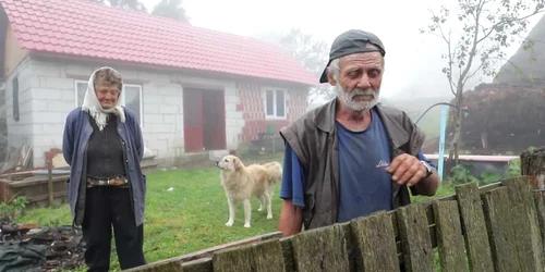 5f707dcf5163ec42715ea151 jpg