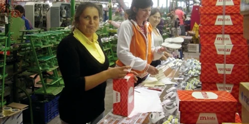 Cei mai mulţi dintre muncitorii de la fabrica italianului sunt unici întreţinători ai familiei