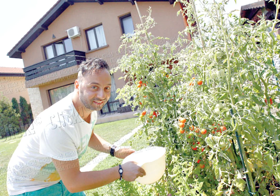 Ovi este mândru de producţia sa de roşii cherry