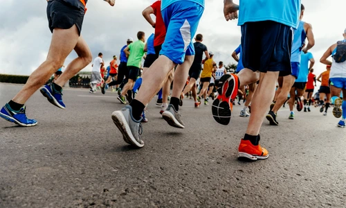 shutterstock 2562660179 jpg