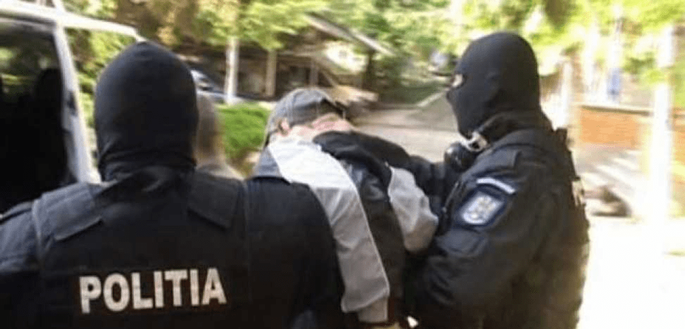 Percheziții la traficanții de droguri din Galați. Au fost descoperite mai multe culturi de canabis