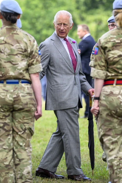 Regele Charles foto Profimedia jpg