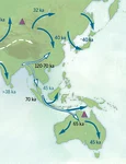 Răspândirea Homo sapiens în Asia și Europa (© Katerina Douka & Michelle O’Reilly, Michael D. Petraglia / Wikimedia Commons)