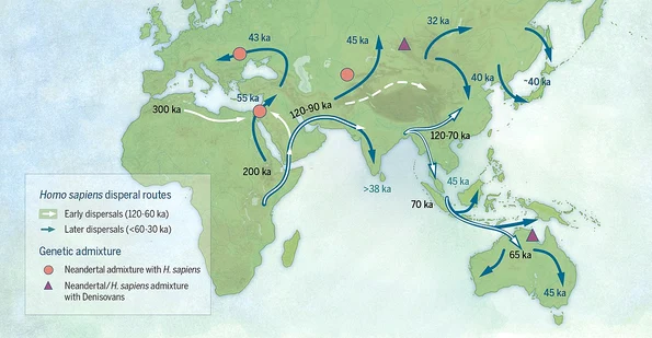 Răspândirea Homo sapiens în Asia și Europa (© Katerina Douka & Michelle O’Reilly, Michael D. Petraglia / Wikimedia Commons)