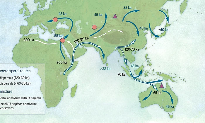 Răspândirea Homo sapiens în Asia și Europa (© Katerina Douka & Michelle O’Reilly, Michael D. Petraglia / Wikimedia Commons)