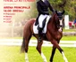 Program Karpatia Horse Show 2026 
