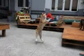 img 8428 jpeg