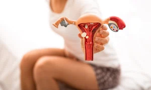 uter_menstruatie_shutterstock 1826474318 (1) jpg