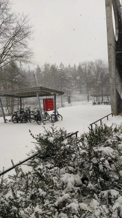 teodora ionică - student în olanda