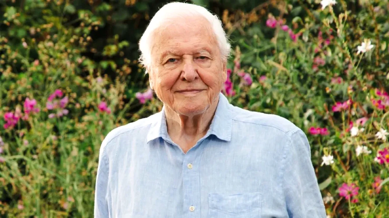 David Attenborough foto: X