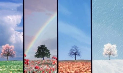 1 83019 original jpg jpeg