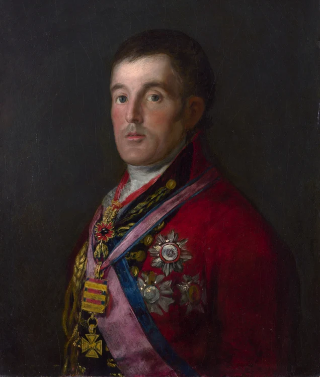 Francisco Goya   Portrait of the Duke of Wellington jpg jpeg