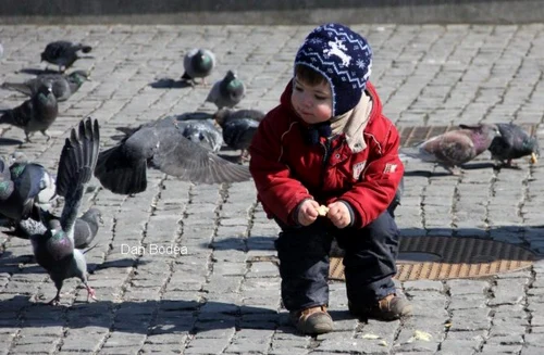 cluj