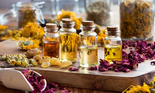 1 shutterstock 779937457 jpg jpeg