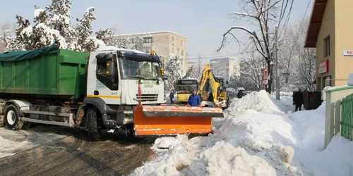 Deszapezire Ploieşti