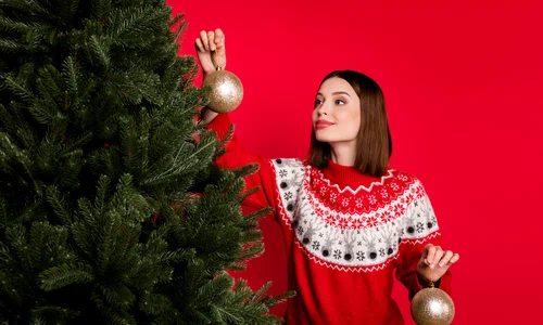 5 stiluri de a impodobi bradul Sursa imagine shutterstock 2046637331 jpg