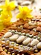 Prajitura poloneza  Sursa foto shutterstock 1935242111 jpg
