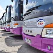 Autobuze din Cluj-Napoca  FOTO: Facebook CTP
